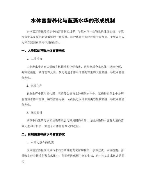 水体富营养化与蓝藻水华的形成机制