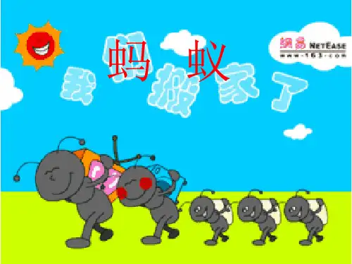 三年级上科学《蚂蚁》课件PPT6