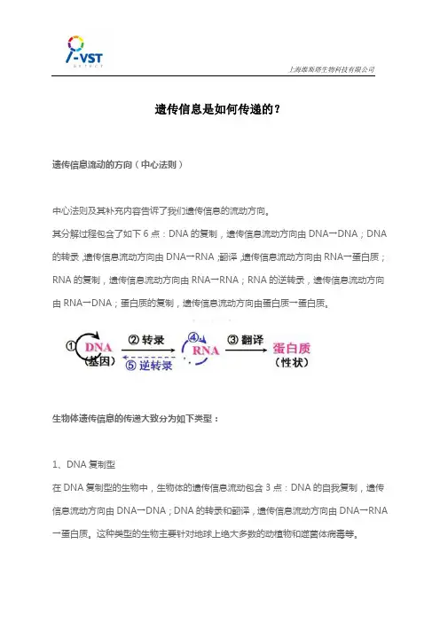 遗传信息是如何传递的？
