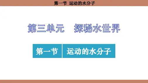3.1 运动的水分子课件(共28张PPT)(2024)化学鲁教版九年级上册