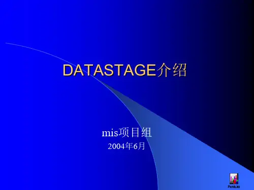 datastage介绍(中文)讲述