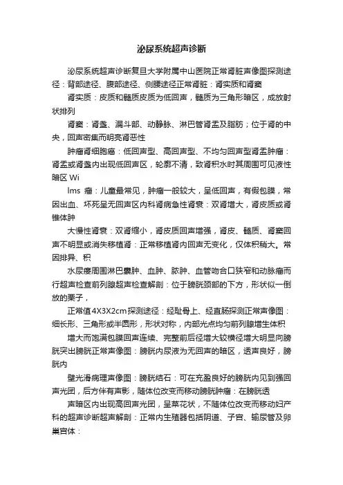 泌尿系统超声诊断