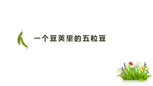 部编版语文四年级上册5《一个豆荚里的五粒豆》课件(共14张PPT)