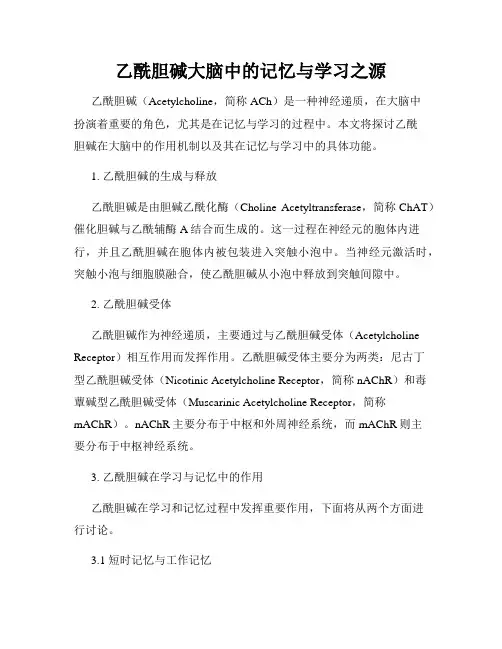 乙酰胆碱大脑中的记忆与学习之源
