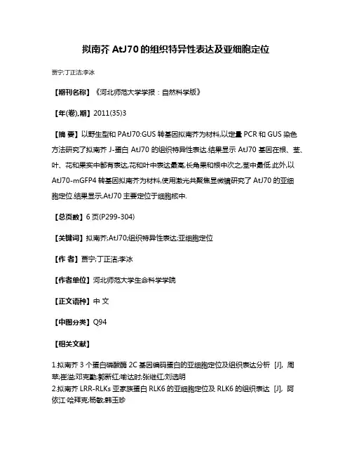 拟南芥AtJ70的组织特异性表达及亚细胞定位