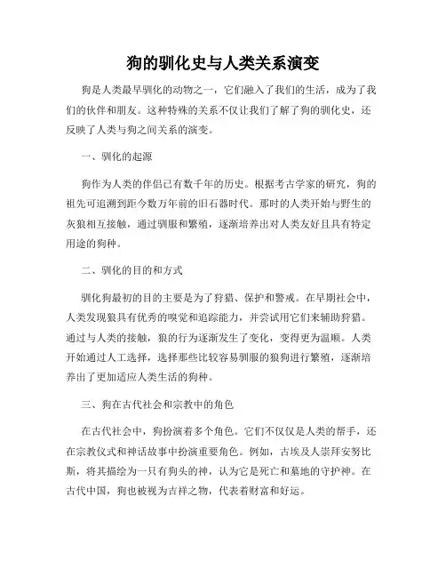 狗的驯化史与人类关系演变
