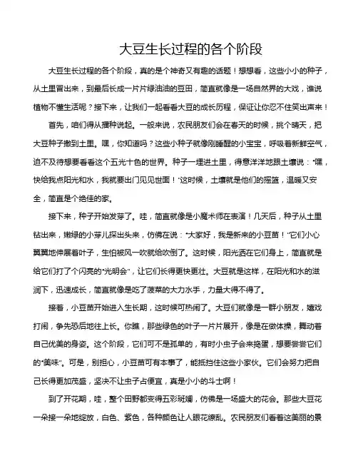 大豆生长过程的各个阶段