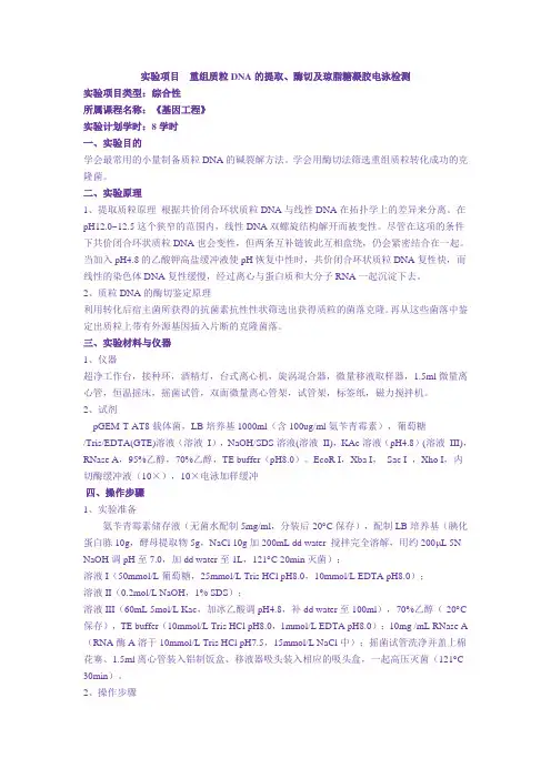 基因工程实验指导书