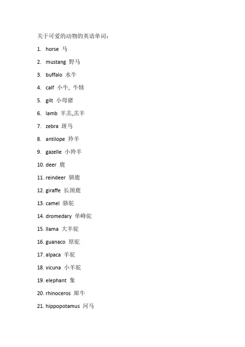 关于可爱的动物的英语单词