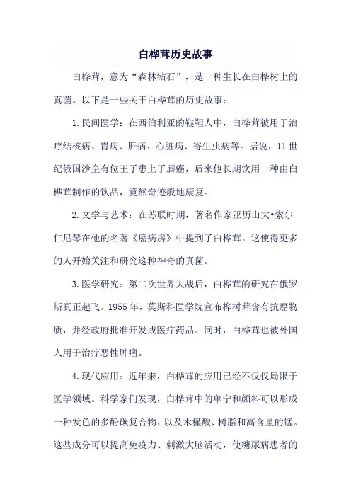 白桦茸历史故事