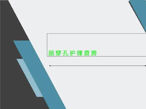 肠穿孔护理查房