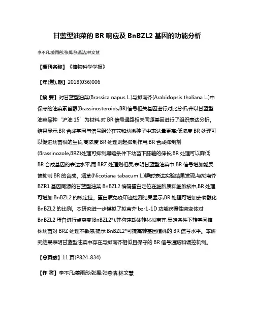 甘蓝型油菜的BR响应及BnBZL2基因的功能分析