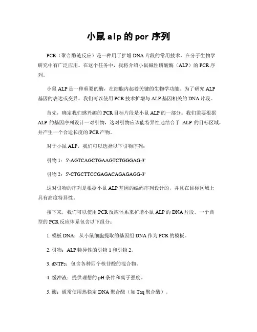 小鼠alp的pcr序列