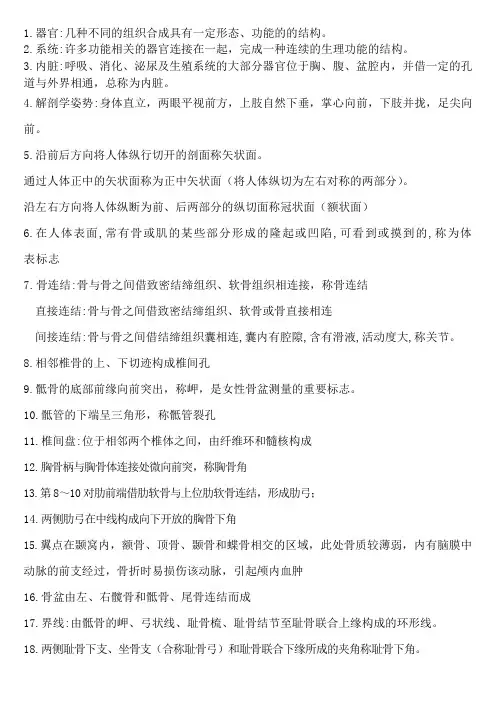 解剖学名词解释