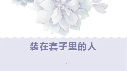 《装在套子里的人》PPT优秀课件