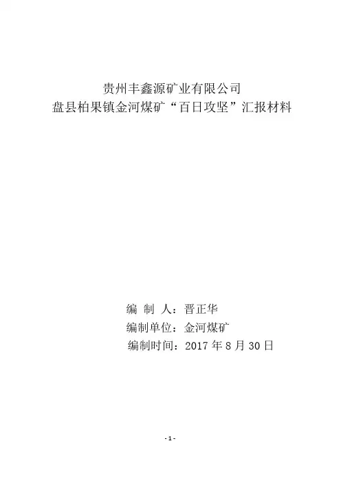 金河煤矿安全生产“百日攻坚”汇报材料