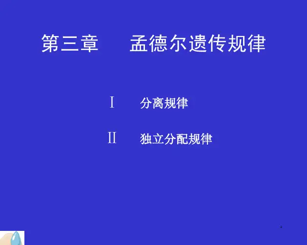 孟德尔遗传规律