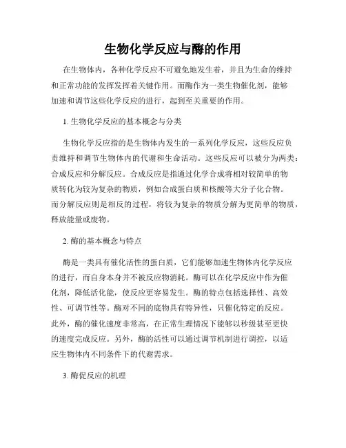 生物化学反应与酶的作用