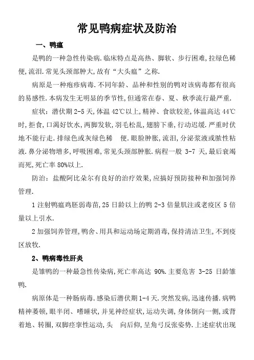 常见鸭病症状及防治
