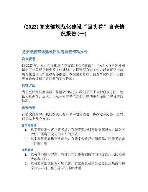 (2023)党支部规范化建设“回头看”自查情况报告(一)