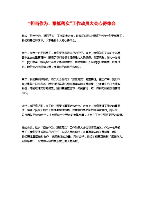 “担当作为、狠抓落实”工作动员大会心得体会