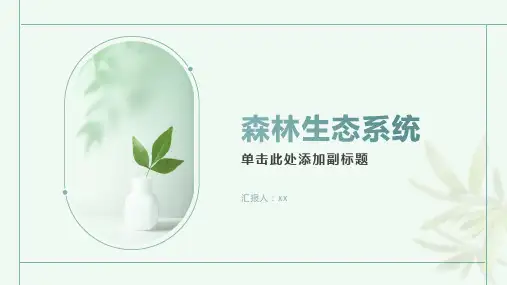 森林生态系统