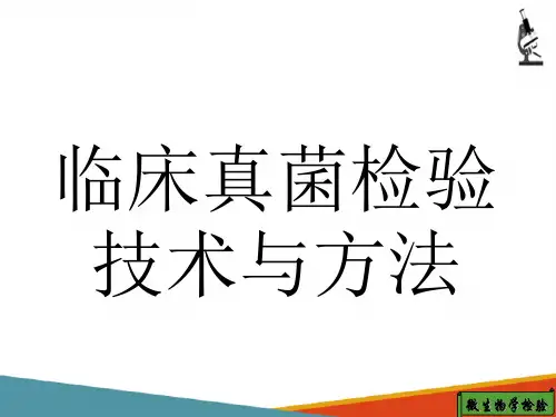 微生物检验常用技术与方法—临床真菌检验技术与方法(微生物检验课件)