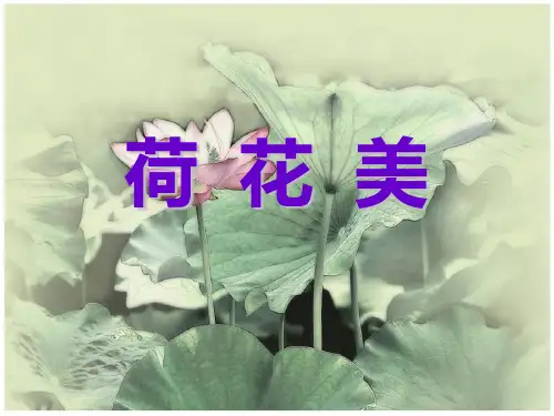 江西版美术三年级下册《荷花美》完整版通用课件(31)