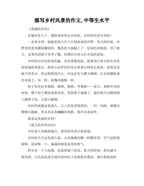 描写乡村风景的作文,中等生水平