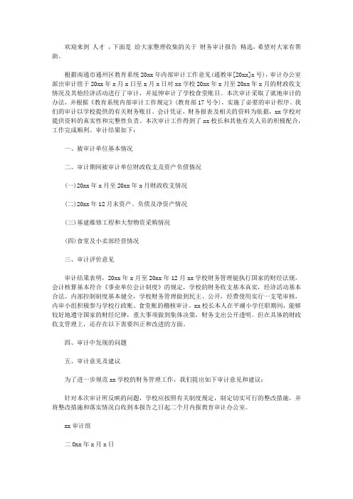 2020财务审计报告范文精选【实用】