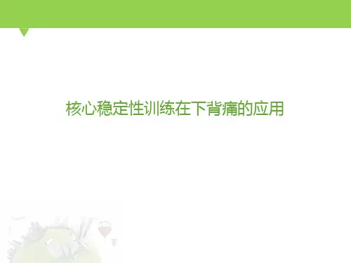 核心肌群训练在下背痛的应用  ppt课件