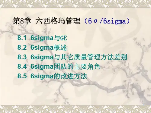 第8章 六西格玛管理(简)