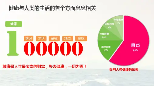 大健康项目商业计划精简版PPT课件