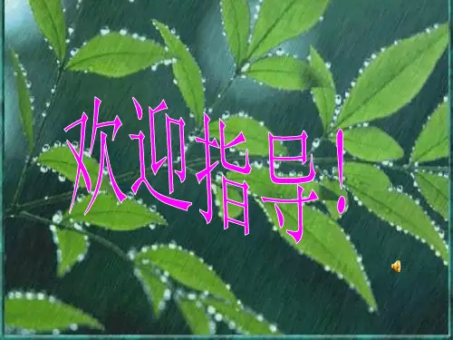 课件：春夜喜雨(杜甫)