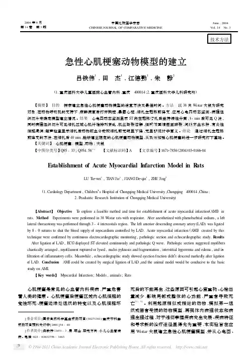 急性心肌梗塞动物模型