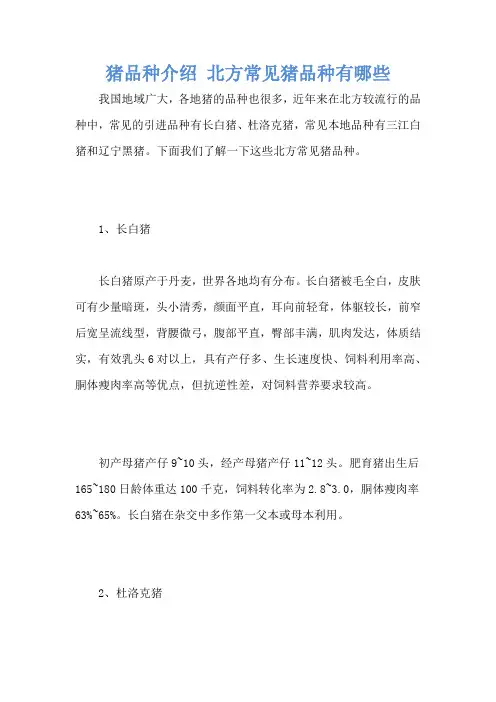 猪品种介绍 北方常见猪品种有哪些