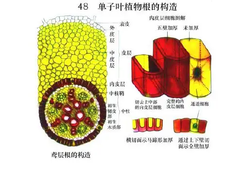 生物学根
