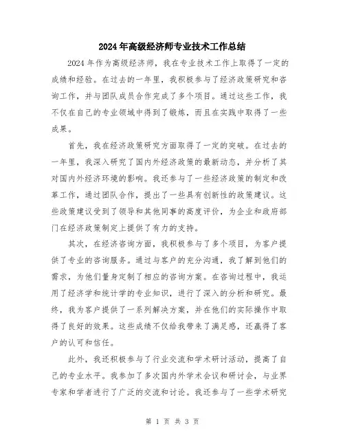 2024年高级经济师专业技术工作总结