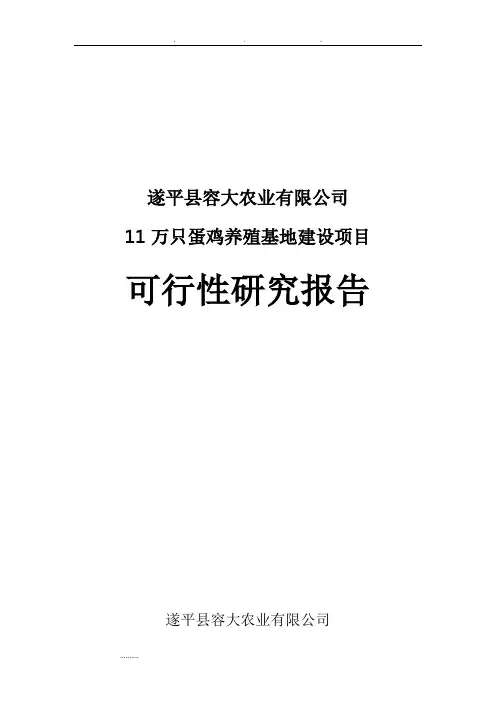 养鸡场可行性实施计划书_修改