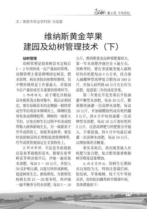 维纳斯黄金苹果建园及幼树管理技术(下)