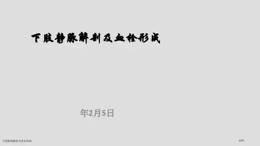 下肢静脉解剖及常见疾病