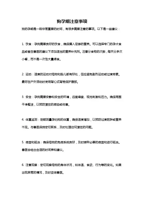 狗孕期注意事项