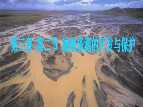 高中地理-湿地资源的开发与保护——以洞庭湖为例ppt1