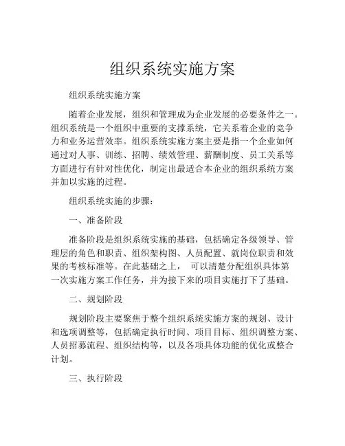 组织系统实施方案