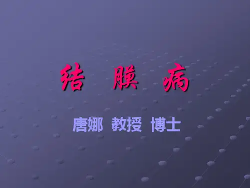 结膜病
