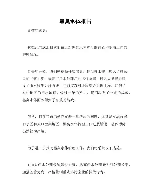 黑臭水体报告