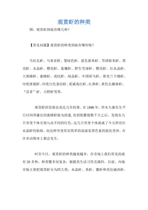 观赏虾的种类