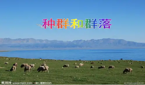 种群和群落课件.ppt