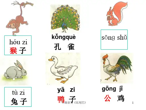 一年级语文《比尾巴》 ppt课件