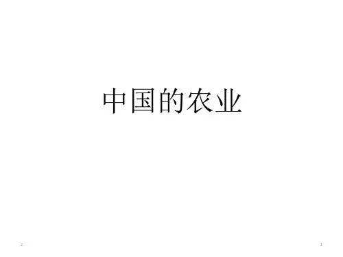高中地理 区域地理复习中国的农业(共24张PPT)
